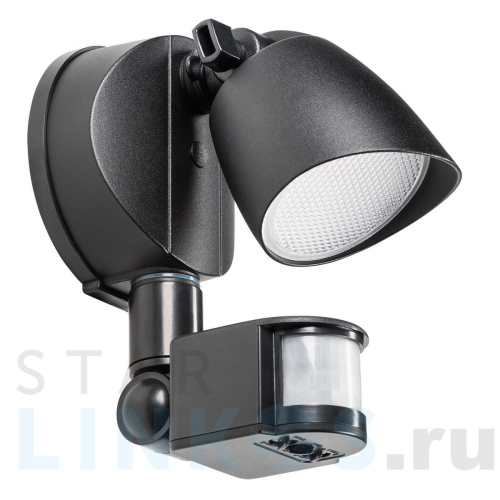 Купить с доставкой Уличный настенный светодиодный светильник Lightstar Diva 374347 в Туле