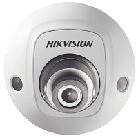 Купить IP-камера Hikvision DS-2CD2543G0-IWS (4 мм) в Туле