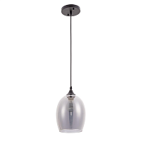 Купить Подвесной светильник Arte Lamp Propus A4344SP-1BK в Туле
