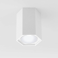 Купить Накладной светильник Elektrostandard 25037/LED белый a055858 в Туле