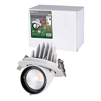 Купить Встраиваемый светодиодный светильник TDM Electric Акцент-1DSL-01-030-WW SQ0369-0401 в Туле