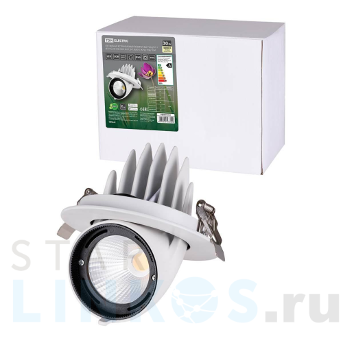 Купить с доставкой Встраиваемый светодиодный светильник TDM Electric Акцент-1DSL-01-030-WW SQ0369-0401 в Туле