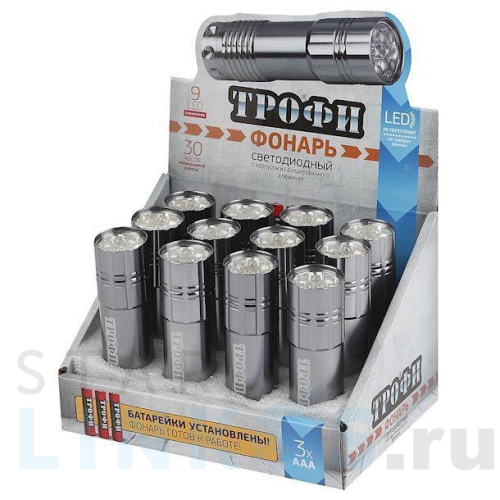 Купить с доставкой Карманный светодиодный фонарь ЭРА Трофи от батареек 85х23 60 лм TM9-box12 Б0004986 в Туле