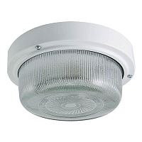 Купить Настенно-потолочный светильник TDM Electric НПП 03-100-003 SQ0311-0019 в Туле