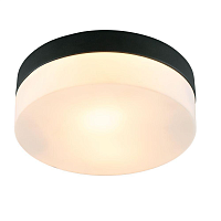 Купить Потолочный светильник Arte Lamp Aqua-Tablet A6047PL-2BK в Туле