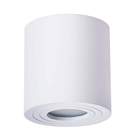 Купить Потолочный светильник Arte Lamp Galopin A1460PL-1WH в Туле