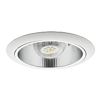 Купить Карданный светильник Kanlux OZON DLBS-1AV/27-W 905 в Туле