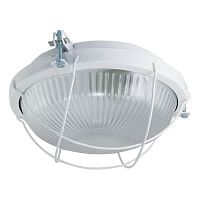 Купить Настенно-потолочный светильник TDM Electric Рыбий глаз НПП 03-100-020.02 SQ0311-0022 в Туле