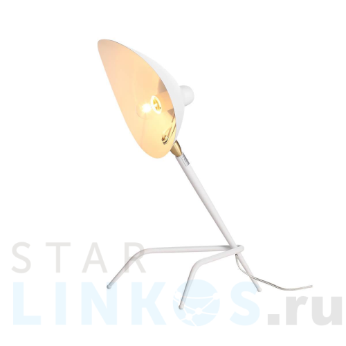 Купить с доставкой Прикроватная лампа ST Luce Spruzzo SL305.504.01 в Туле
