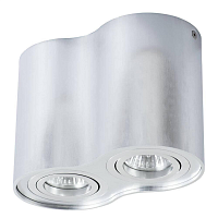 Купить Потолочный светильник Arte Lamp A5644PL-2SI в Туле
