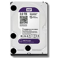 Купить 2 Тбайт жесткий диск WD20PURZ серии WD Purple для систем видеонаблюдения в Туле