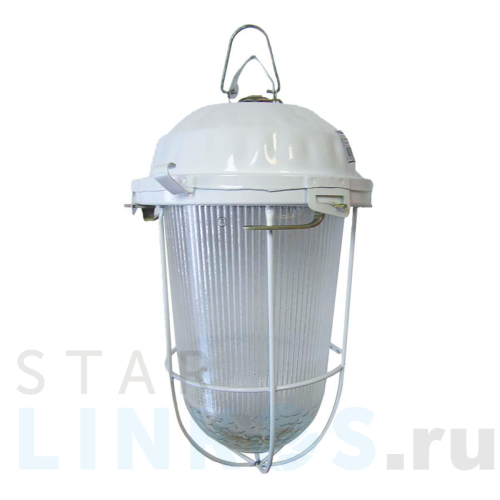 Купить с доставкой Уличный подвесной светильник TDM Electric НСП 02-200-022.01 SQ0310-0012 в Туле