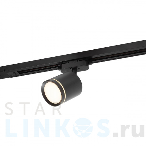 Купить с доставкой Трековый светодиодный светильник Denkirs DK6401-BK в Туле