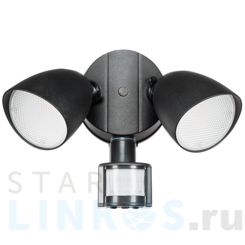 Купить с доставкой Уличный настенный светодиодный светильник Lightstar Diva 374437 в Туле