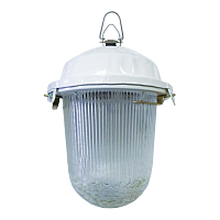 Купить Уличный подвесной светильник TDM Electric НСП 02-100-001.01 SQ0310-0001 в Туле
