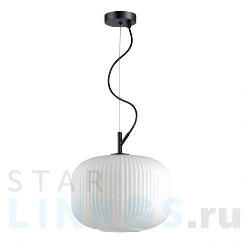 Купить с доставкой Подвесной светильник Odeon Light Pendant Roofi 4754/1 в Туле