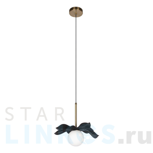 Купить с доставкой Подвесной светильник Loft IT Monro 10213/A Black в Туле