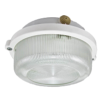 Купить Настенно-потолочный светильник TDM Electric НПП 03-100-005.03 SQ0311-0003 в Туле