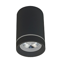 Купить Потолочный светодиодный светильник Aployt Edda APL.0053.19.10 в Туле