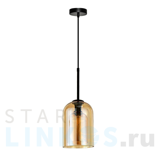 Купить с доставкой Подвесной светильник Arte Lamp Paio A7015SP-1BK в Туле