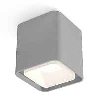 Купить Комплект потолочного светильника Ambrella light Techno Spot XC (C7842, N7755) XS7842010 в Туле