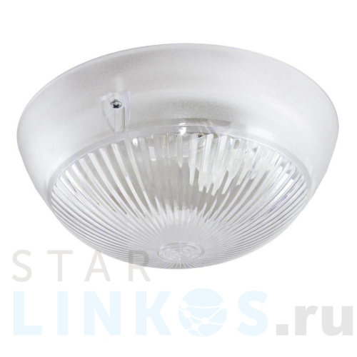 Купить с доставкой Настенно-потолочный светильник ЭРА Сириус НБП 06-60-101 Б0048411 в Туле