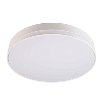 Купить Настенно-потолочный светодиодный светильник Deko-Light Subra 401004 в Туле