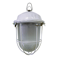 Купить Уличный подвесной светодиодный светильник TDM Electric Народный ДСП 02-6-002 SQ0329-1065 в Туле