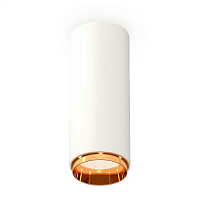 Купить Комплект потолочного светильника Ambrella light Techno Spot XC (C6342, N6124) XS6342005 в Туле