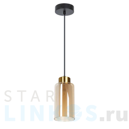 Купить с доставкой Подвесной светильник Arte Lamp Leo A7027SP-1BK в Туле