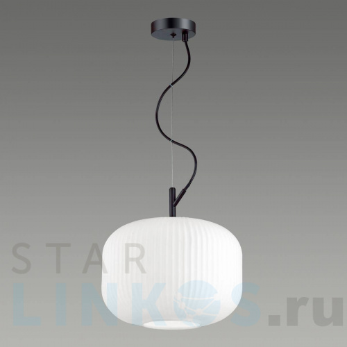 Купить с доставкой Подвесной светильник Odeon Light Pendant Roofi 4754/1 в Туле фото 3