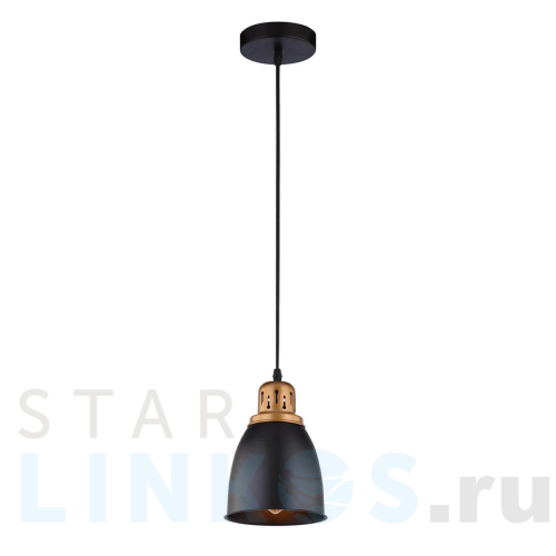Купить с доставкой Подвесной светильник Arte Lamp Eurica A4248SP-1BK в Туле