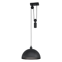 Купить Подвесной светильник Eglo Winkworth 43435 в Туле