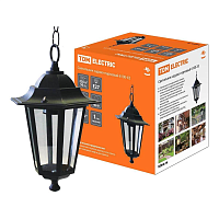 Купить Уличный подвесной светильник TDM Electric 6100-05 SQ0330-0010 в Туле