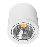 Купить Потолочный светодиодный светильник Arlight SP-Focus-R140-30W Day White 021428 в Туле