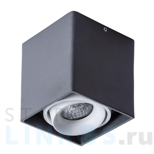 Купить с доставкой Потолочный светильник Arte Lamp Pictor A5654PL-1BK в Туле