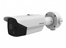 Купить Тепловизионная IP-камера Hikvision DS-2TD2617-6/PA в Туле