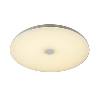 Купить Потолочный светодиодный светильник Sonex Vasta led Roki muzcolor 4629/DL в Туле