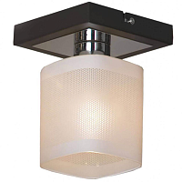 Купить Потолочный светильник Lussole Costanzo LSL-9007-01 в Туле
