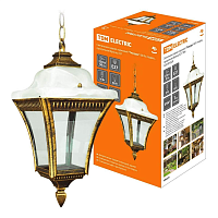 Купить Уличный подвесной светильник TDM Electric Глазурь SQ0330-0329 в Туле