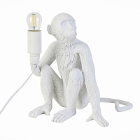 Купить Прикроватная лампа Evoluce Tenato SLE115104-01 в Туле