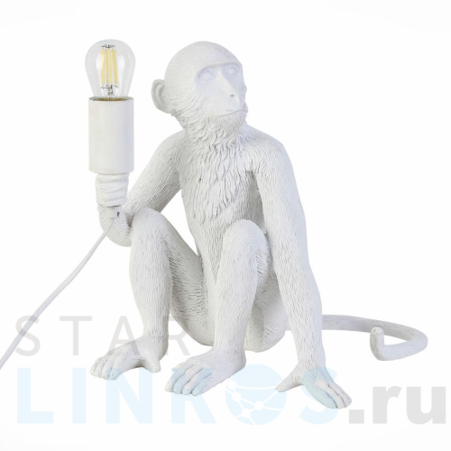 Купить с доставкой Прикроватная лампа Evoluce Tenato SLE115104-01 в Туле