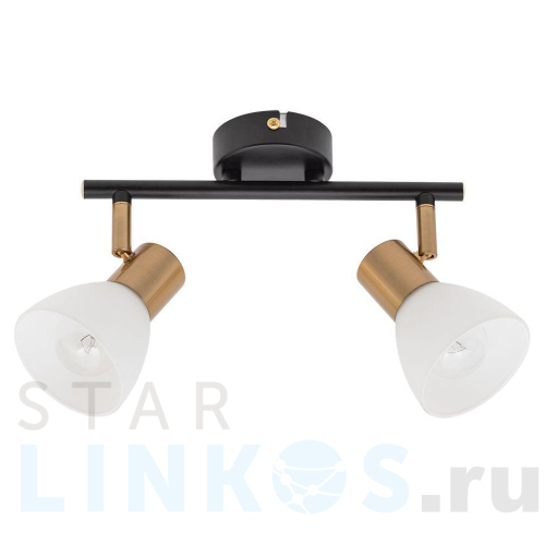 Купить с доставкой Спот Arte Lamp Falena A3117PL-2BK в Туле