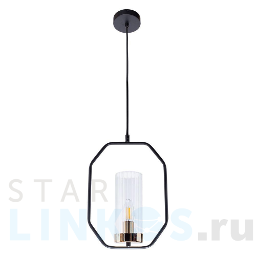 Купить с доставкой Подвесной светильник Arte Lamp Celaeno A7004SP-1BK в Туле