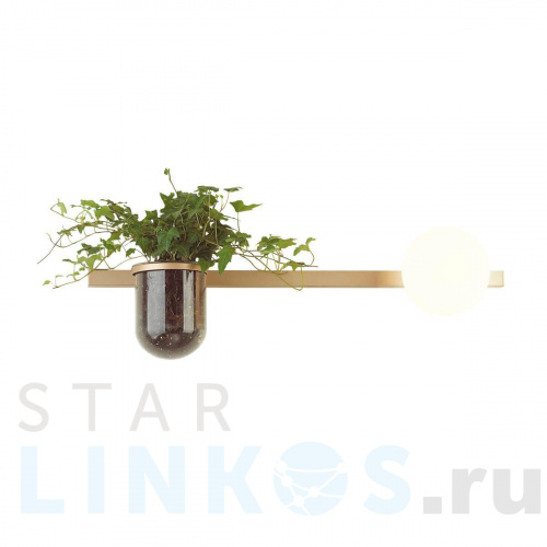 Купить с доставкой Настенный светильник Odeon Light Walli Flower 4682/1WA в Туле