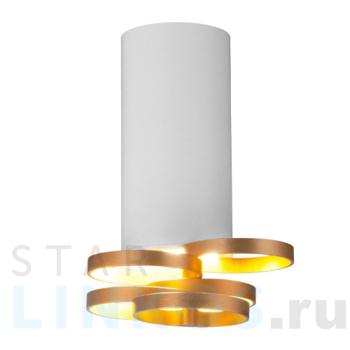 Купить с доставкой Потолочный светильник Elektrostandard DLN102 GU10 белый/золото a047748 в Туле