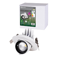 Купить Встраиваемый светодиодный светильник TDM Electric Акцент-1DSL-01-018-WW SQ0369-0400 в Туле