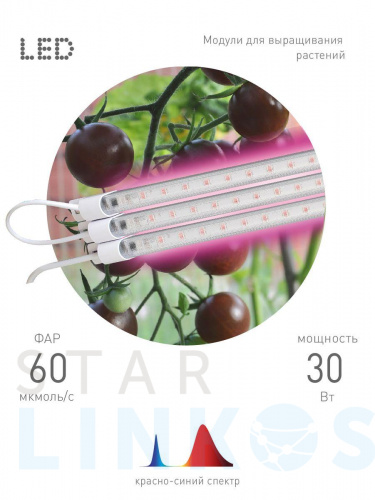 Купить с доставкой Модульный светодиодный светильник для растений ЭРА Fito-3х10W-Line-RB90 Б0050924 в Туле фото 3