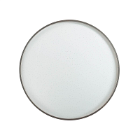Купить Настенно-потолочный светодиодный светильник Sonex Pale Geta silver 2076/EL в Туле