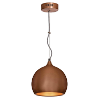 Купить Подвесной светильник Lussole Loft GRLSN-6106-01 в Туле